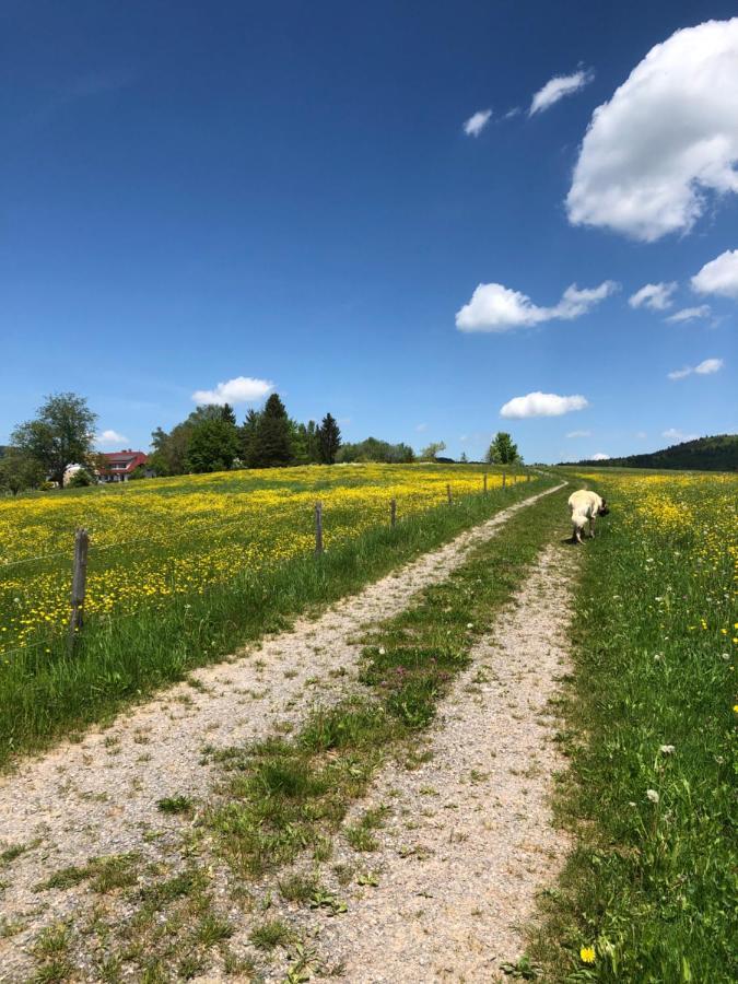 Apartamento Pfaffensteghof Rickenbach  Exterior foto